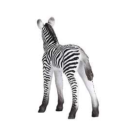 Mojo Zebra Føl