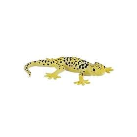 Mojo Leopardgecko