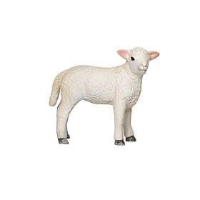 Mojo Romney Lamb Standing