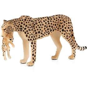 Mojo Gepard Med Unge