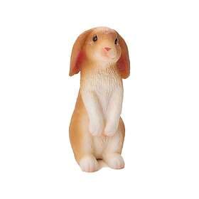 Mojo Hare, Sittande
