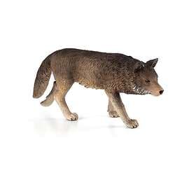 Mojo Ulv Walking