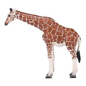 Mojo Giraff Tik