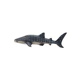 Mojo Whale Shark