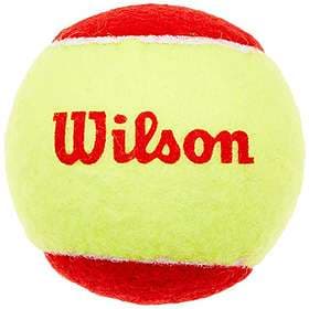 Wilson Starter Easy (12 balls)