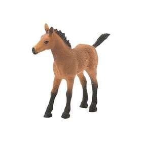 Schleich HORSE CLUB Quarterhäst Föl 13854