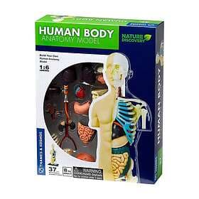Human Body (häftad, eng)