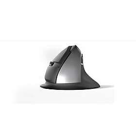 AVE STANDIVARIUS mouse