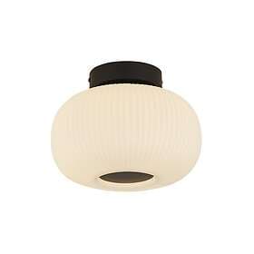 Searchlight Lumina