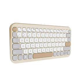 Asus Marshmallow KW100 (EN)