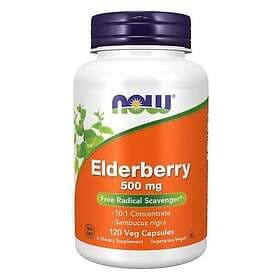 Now Foods Elderberry, 500mg 120 vcaps