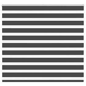 vidaXL Rullgardin zebra svart 165x100 cm tyg bredd 160,9cm polyester