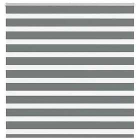vidaXL Rullgardin zebra mörkgrå 150x100 cm tyg bredd 145,9cm polyester