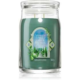Yankee Candle Olive & Cypress Scented Candle 567g