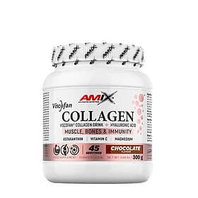 Amix Viscofan Collagen Drink, Chocolate- 300g