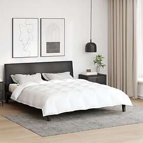 vidaXL White Duvet 200x220cm Down