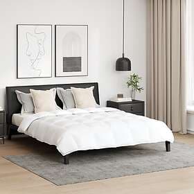 vidaXL Duvet 200x200cm Down