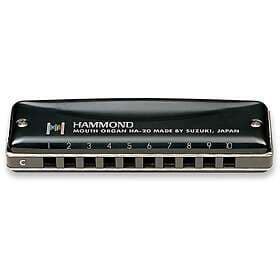 Suzuki Hammond HA-20 (A)