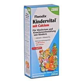Salus Floradix Kindervital For Children 250ml