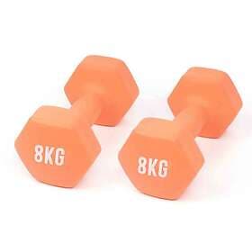 Myga Dumbbell 2x8kg