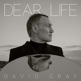 David Gray Dear Life LP/Vinyl