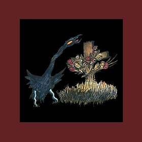 DriveBy Truckers The Definitive Decoration Day LP/Vinyl