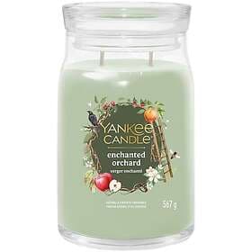 Yankee Candle Enchanted Orchard Large Jar 567g