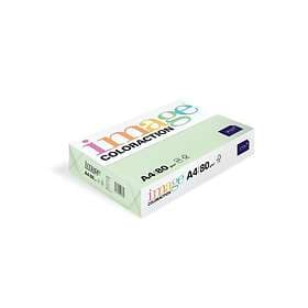 Image Coloraction A4 Jungle Pale Green 80g 500 st