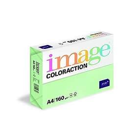 Image Coloraction Green A4 160g 250 st