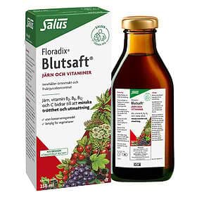 Floradix Blutsaft Iron and Vitamins 250ml