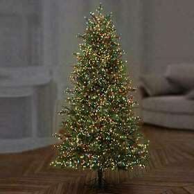 Premier TreeBrights 1500 LED 37.5m Outdoor