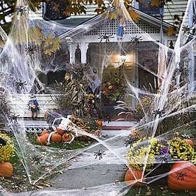 Halloween Spider Web 300g
