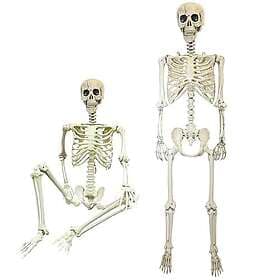 SHATCHI Halloween Decoration Life Size Poseable Skeleton 165cm
