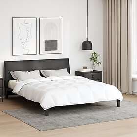 vidaXL Down Duvet 200x200cm 42007642