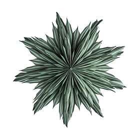 Watt & Veke Helena Star 44cm