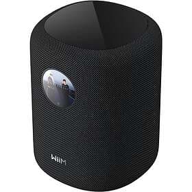 WiiM Sound Bluetooth Speaker