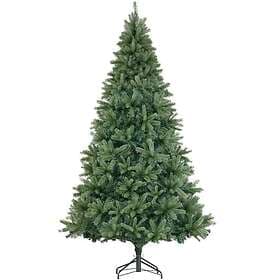 TecTake Prancer