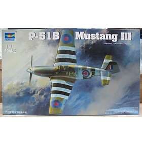 Trumpeter 1/32 RAF Mustang III P-51B (Interior)