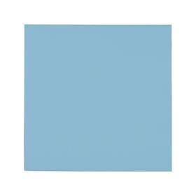 Thermal Grizzly Minus Pad Pro 100x100x2.0mm