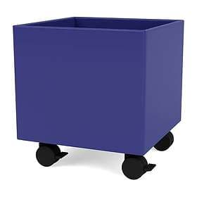 Montana Colour Box I