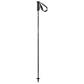 Elan Carbon Rod