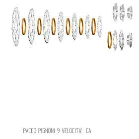 Miche Primato 9 Speed 12-19-21T