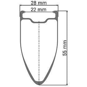 DT Swiss Arc 1100 Dicut 55 12x142mm Disc Tubeless Road Rear Wheel