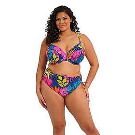 Elomi PORTO RAFTI Bikini Brief (Women's)