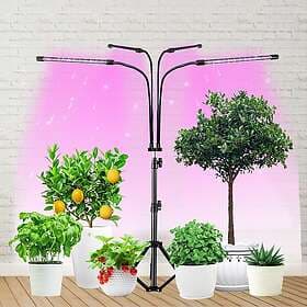 INF Grow Light with Stand 294058
