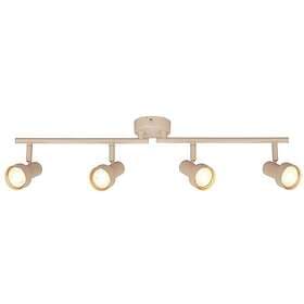 Briloner Tapp (4L)