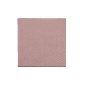 Thermal Grizzly Minus Pad 8 100x100x3mm