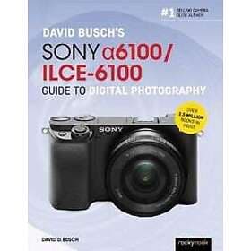 David Busch’s Sony Alpha a6100/ILCE-6100 Guide to Digital Photography