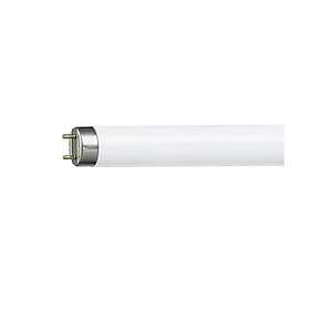 Bellight Fluorescent Tube T8 36W/865 3250lm 1200mm G13