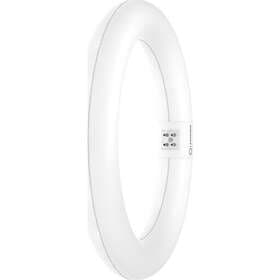 Ledvance 5657052859 T9 Value Circular G10Q 1200lm 11W